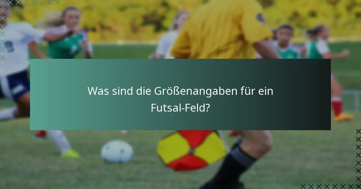 Welche Markierungen sind auf einem Futsal-Feld erforderlich?